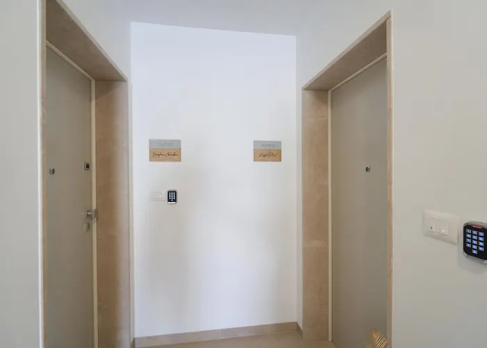 Adria Concept זאדאר